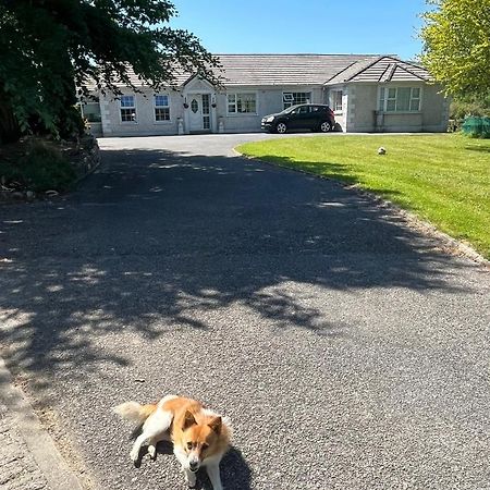 Graiguenamanagh Homestay Eksteriør billede