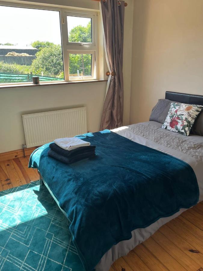 Graiguenamanagh Homestay Eksteriør billede