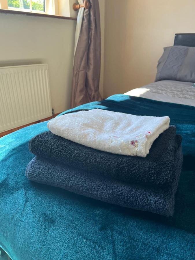 Graiguenamanagh Homestay Eksteriør billede